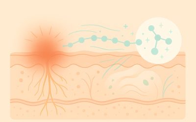 Neurocosmetica in azione: il nuovo approccio scientifico alla pelle sensibile